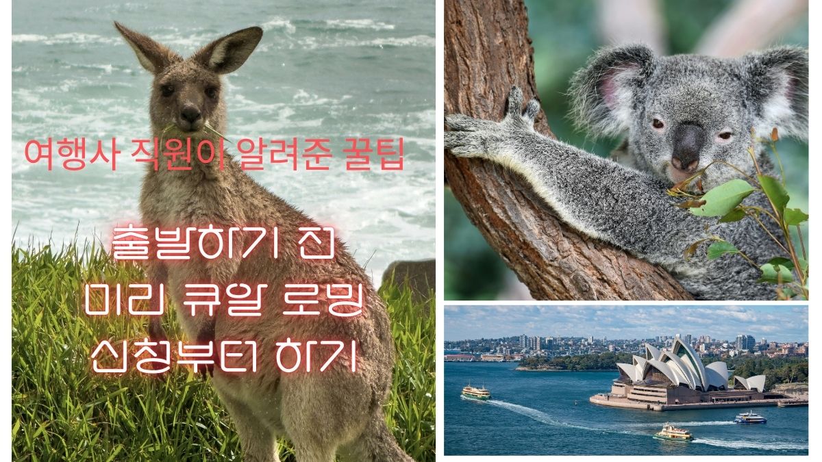 호주 시드니 여행 로밍